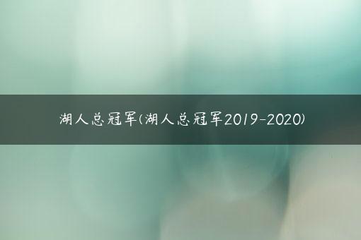 湖人总冠军(湖人总冠军2019-2020)
