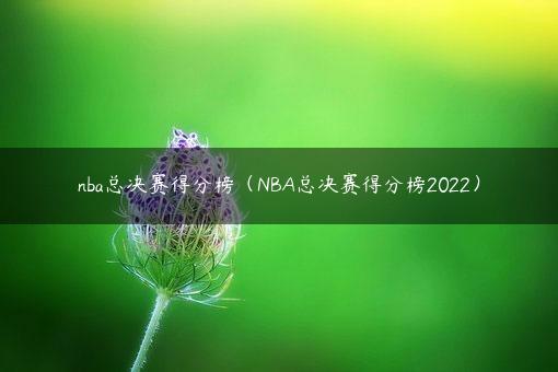 nba总决赛得分榜（NBA总决赛得分榜2022）