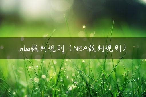 nba裁判规则（NBA裁判规则）