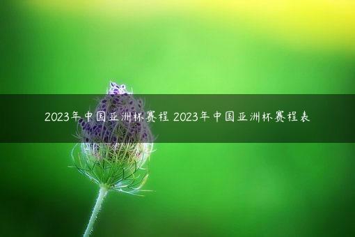 2023年中国亚洲杯赛程 2023年中国亚洲杯赛程表