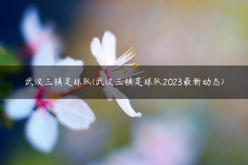 武汉三镇足球队(武汉三镇足球队2023最新动态)