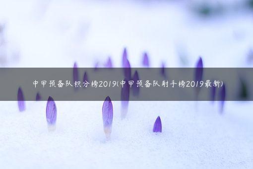中甲预备队积分榜2019(中甲预备队射手榜2019最新)