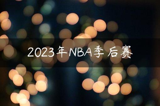 2023年NBA季后赛