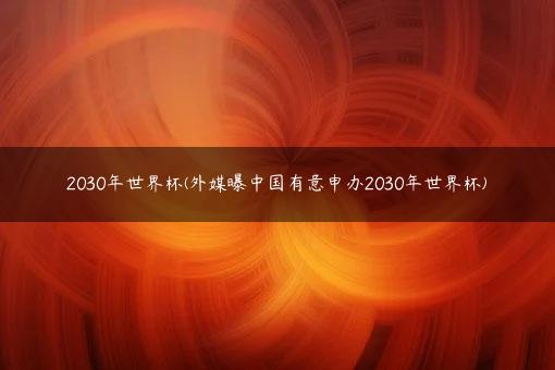 2030年世界杯(外媒曝中国有意申办2030年世界杯)