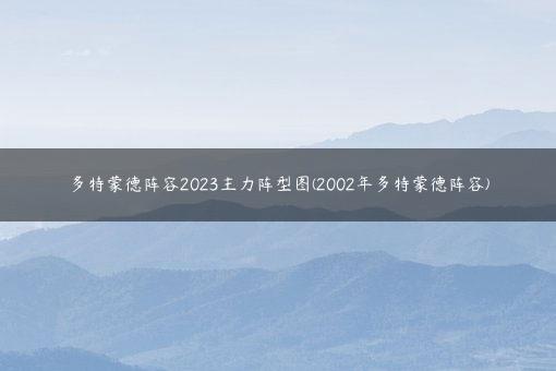 多特蒙德阵容2023主力阵型图(2002年多特蒙德阵容)