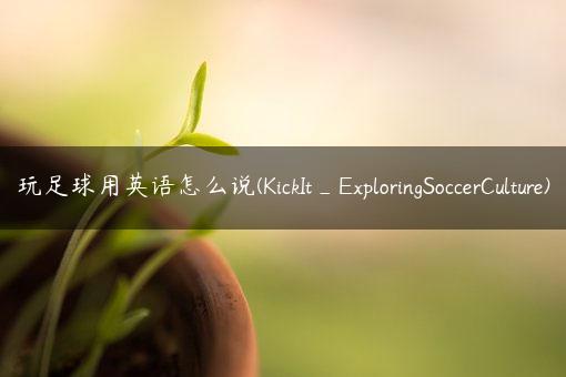 玩足球用英语怎么说(KickIt_ExploringSoccerCulture)