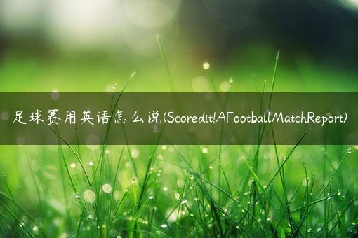 足球赛用英语怎么说(Scoredit!AFootballMatchReport)