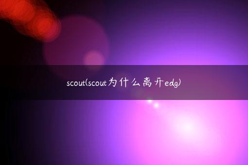 scout(scout为什么离开edg)