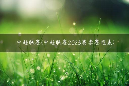 中超联赛(中超联赛2023赛季赛程表)