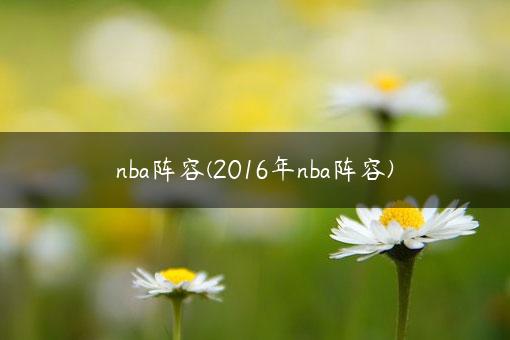 nba阵容(2016年nba阵容)