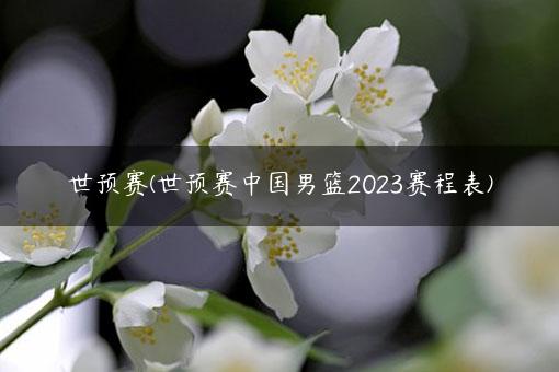 世预赛(世预赛中国男篮2023赛程表)
