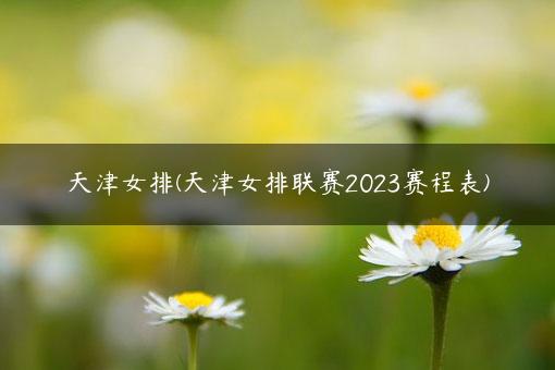 天津女排(天津女排联赛2023赛程表)