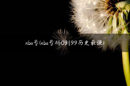nba号(nba号码0到99历史最强)