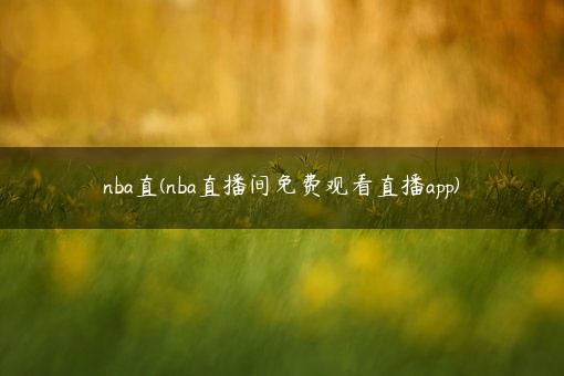nba直(nba直播间免费观看直播app)