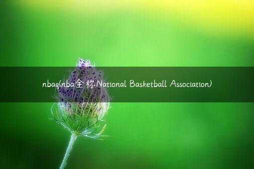 nbaq(nba全称National Basketball Association)
