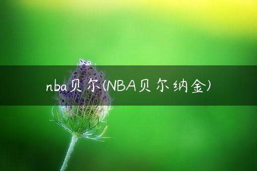 nba贝尔(NBA贝尔纳金)