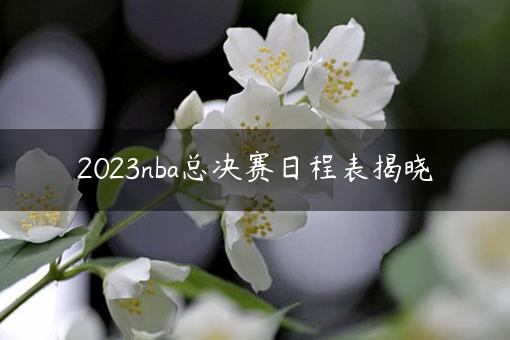 2023nba总决赛日程表揭晓