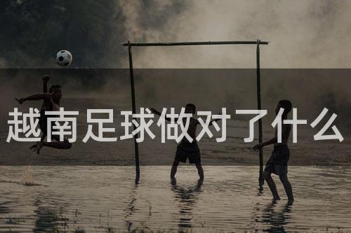 越南足球做对了什么