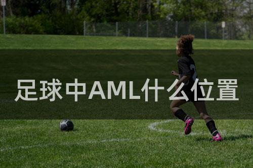 足球中AML什么位置