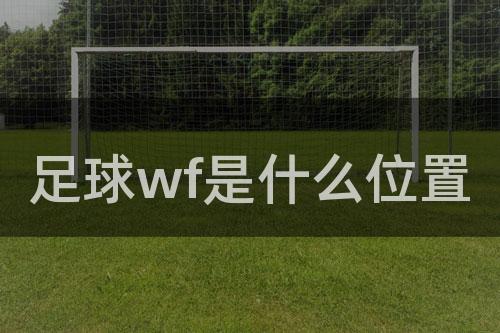 足球wf是什么位置